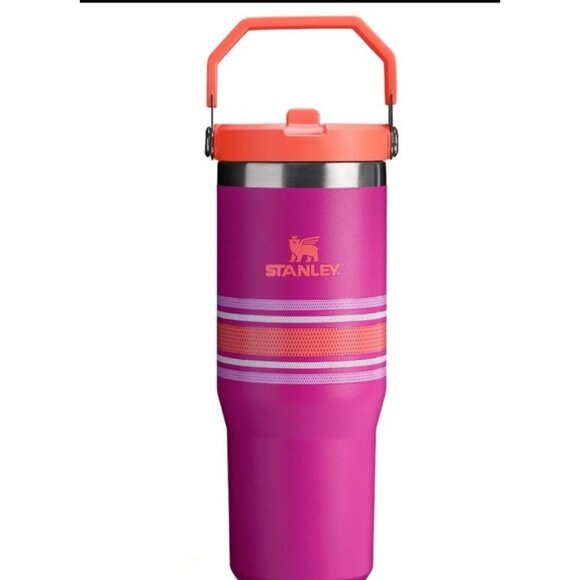 NWT Stanley The Varsity Iceflow Bottle 24oz Fast Flow Lid - Matte Fucshia Mesh - Picture 1 of 4